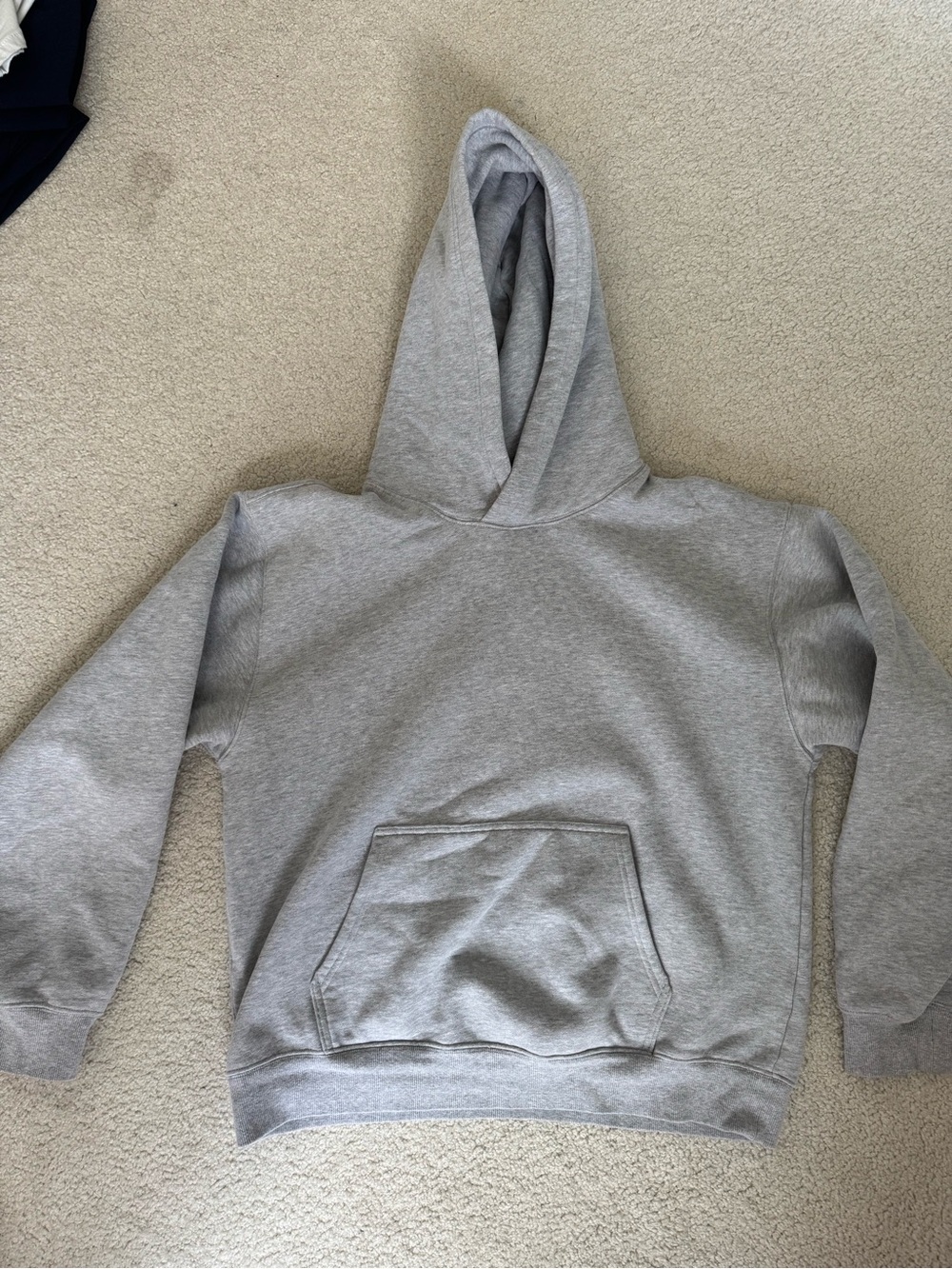 Aritzia Gray Hoodie Sweatshirt